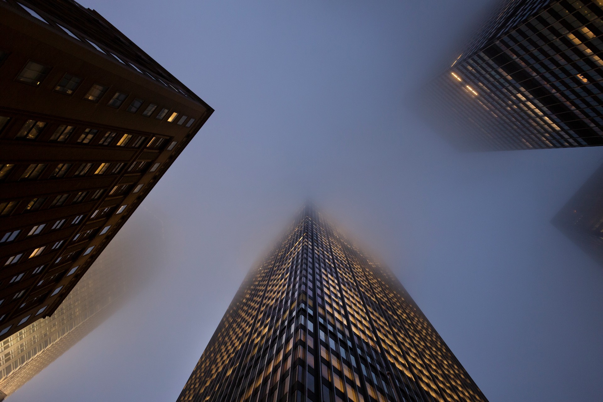 Office Buildings in the Fog